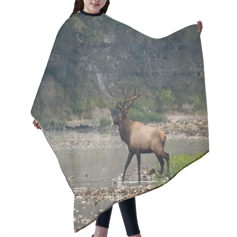 Personality  Trophy-class Bull Elk Hair Cutting Cape