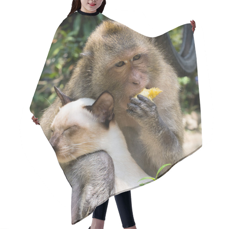 Personality  Monkey And Domestic Cat Hair Cutting Cape