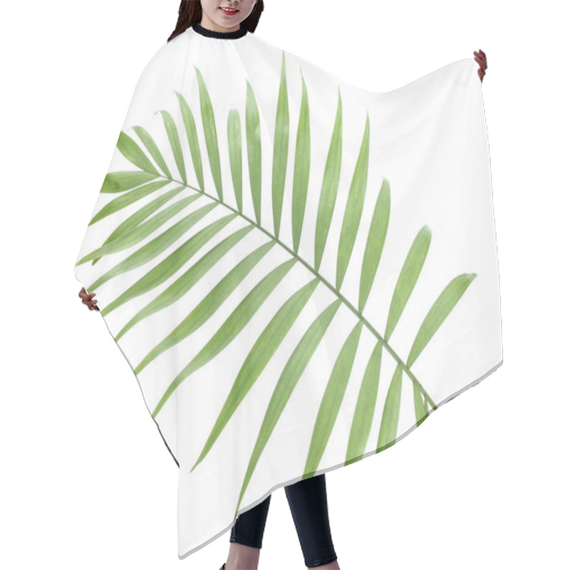 Personality  Beautiful Green Palm Leaf Isolated On White Hair Cutting Cape