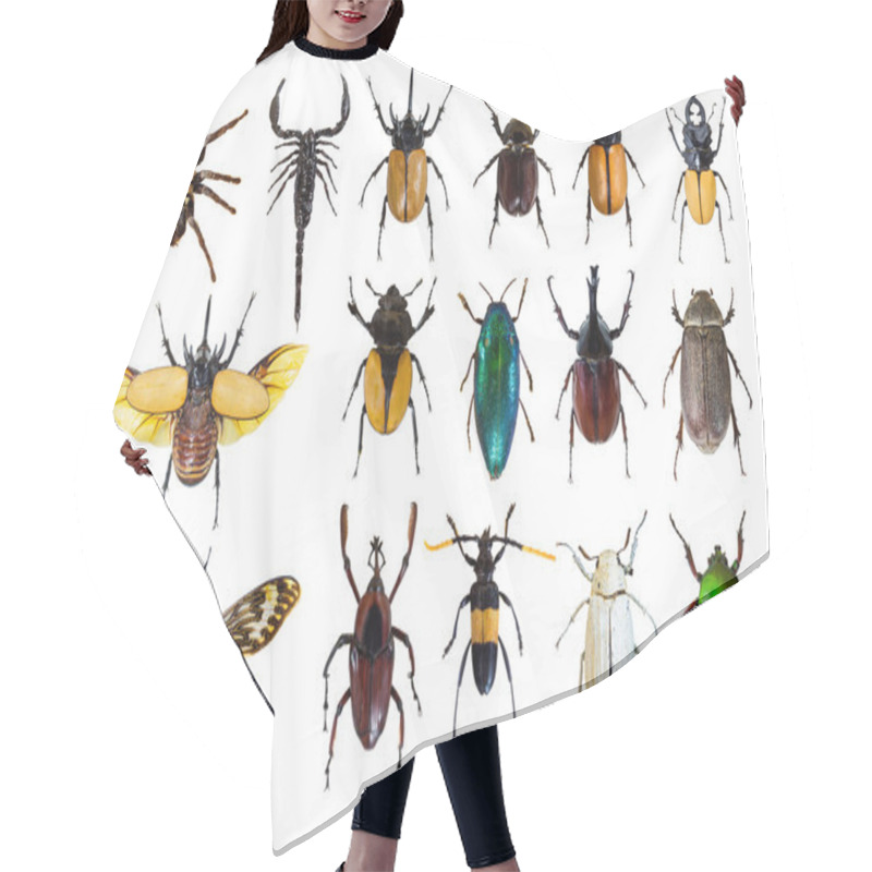 Personality  Regular Bug Pattern Hair Cutting Cape