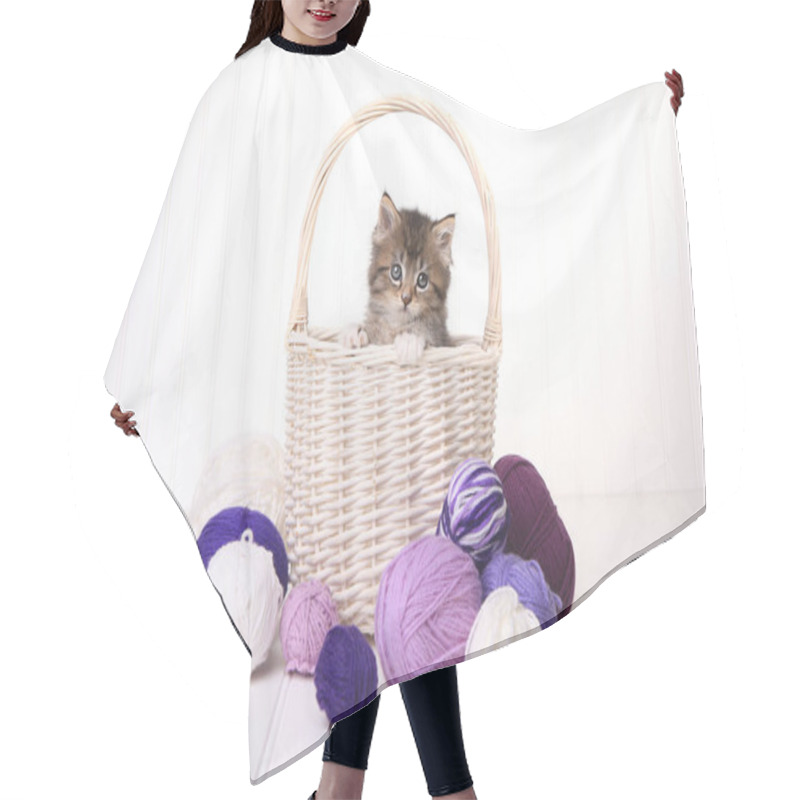 Personality  Cute Kitten In A Basket With Yarn On White Hair Cutting Cape