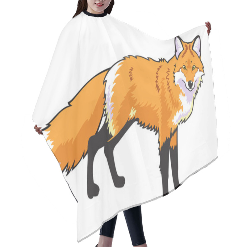 Personality  Standing Red Fox On White Hair Cutting Cape