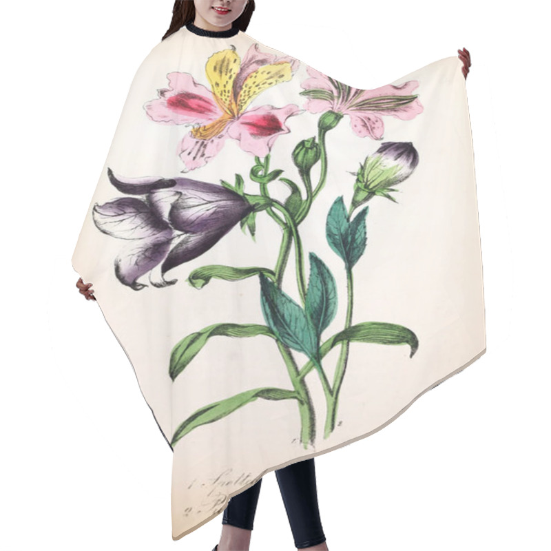 Personality  Illustration Of Flower. The American Flora : Or History Of Plants And Wild Flowers Hair Cutting Cape