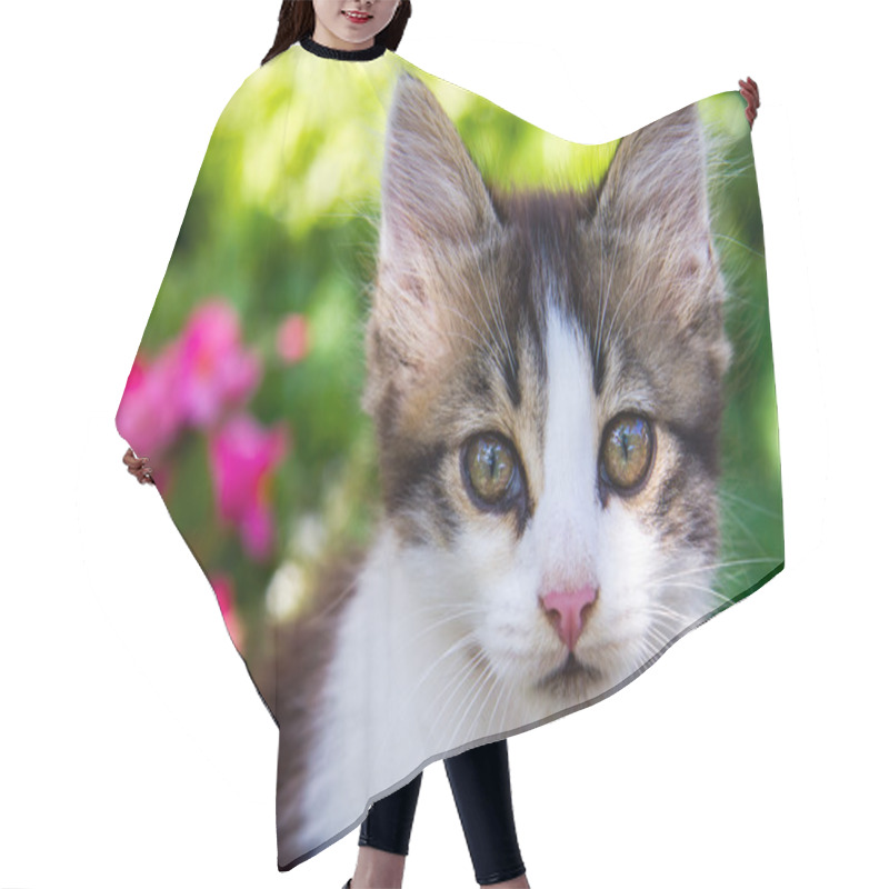 Personality  Beautiful Kitten In Flowers Closeup Hair Cutting Cape