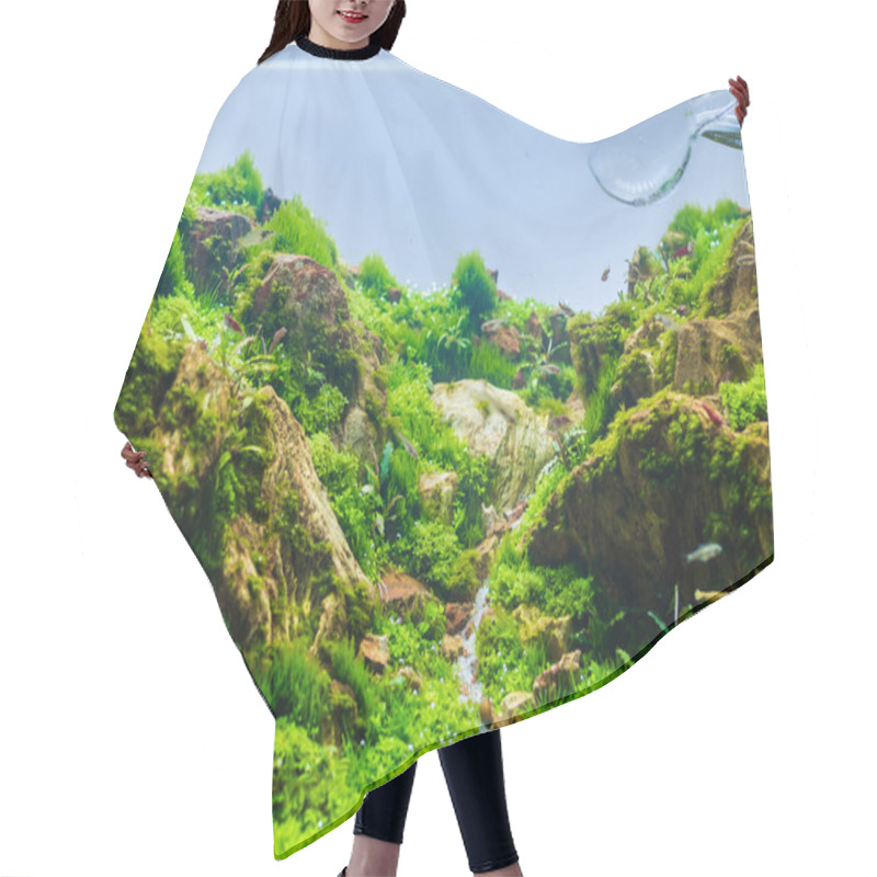 Personality  Image Of Aquarium Tank With A Variety Of Aquatic Plants Inside. Hair Cutting Cape