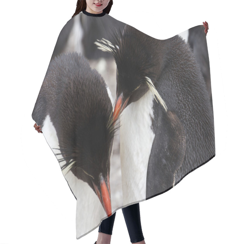 Personality  Rockhopper Penguins Hair Cutting Cape