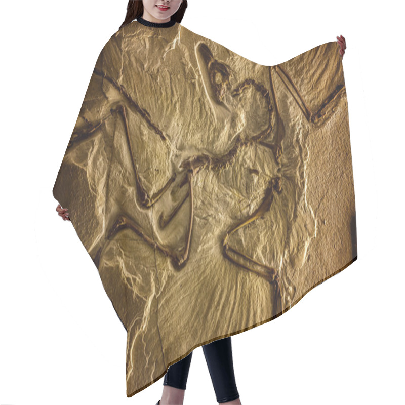 Personality  Prehistoric Fossil Background Hair Cutting Cape