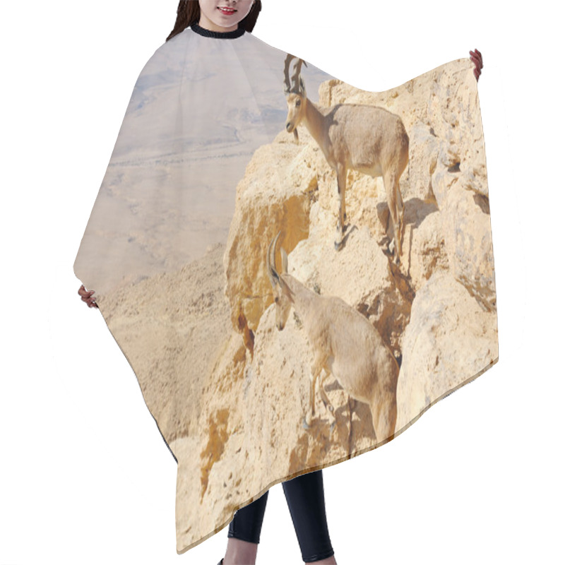 Personality  Mountain Goats In The Makhtesh Ramon Hair Cutting Cape