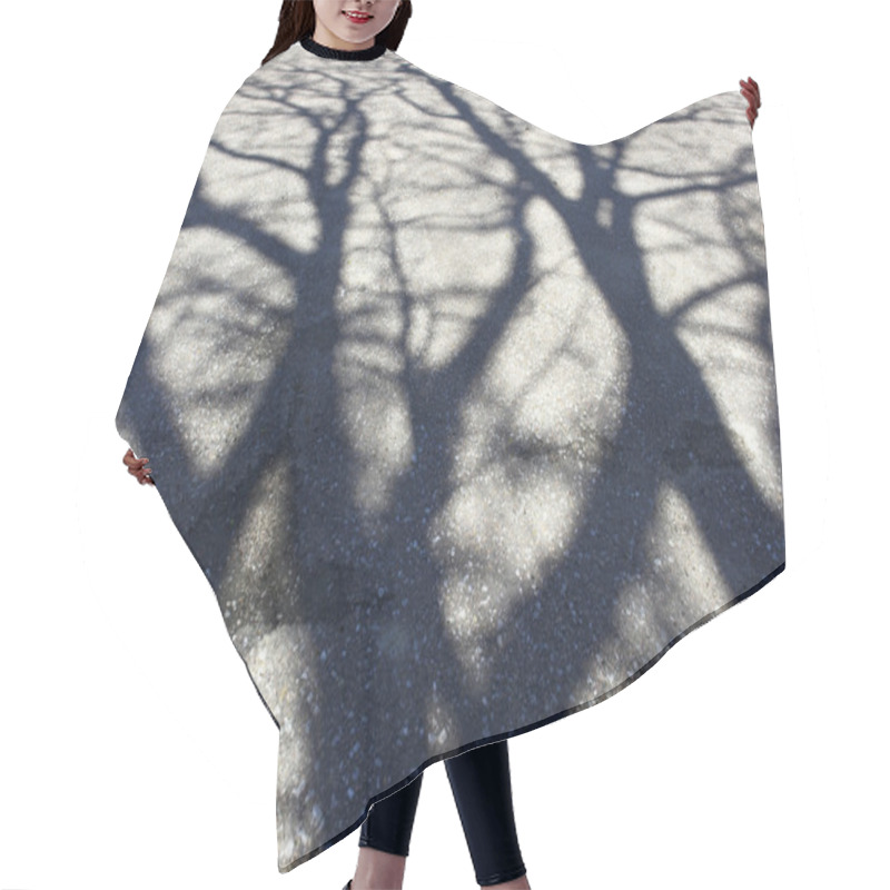 Personality  Shadow Of Tree On The Pavement Hair Cutting Cape