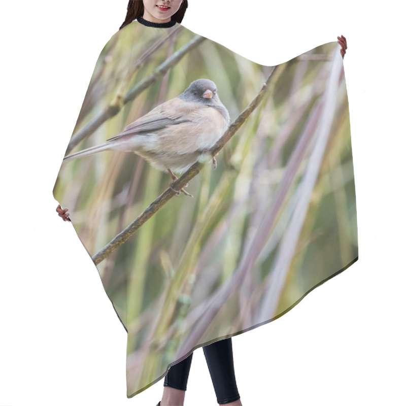 Personality  Dark Eyed Junco Bird Hair Cutting Cape