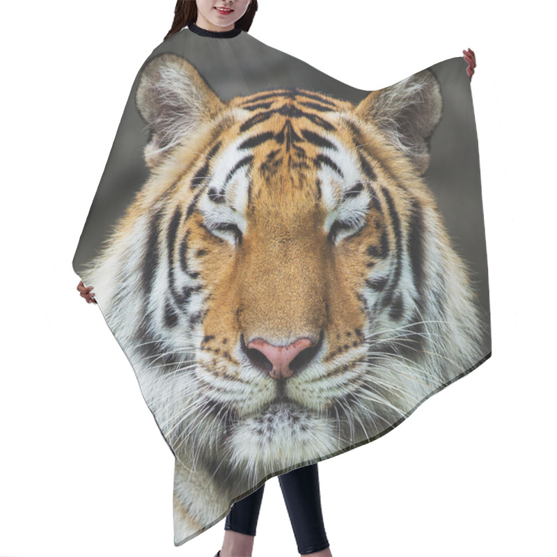 Personality  Tiger, Hair Cutting Cape