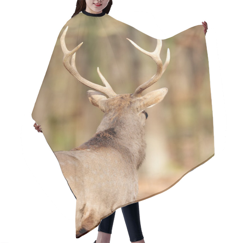 Personality  Deer In Autumn Forest Hair Cutting Cape