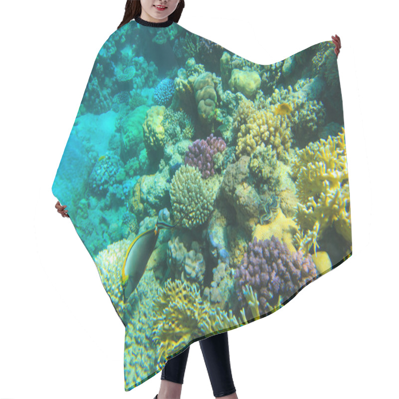 Personality  Underwater Panorama With Fish Hair Cutting Cape