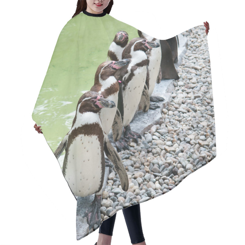 Personality  Funny Penguins Hair Cutting Cape