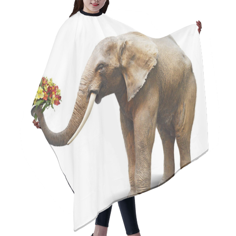 Personality  Elephant Handing A Bouquet Of Blooming Flowers. Concept For Gree Hair Cutting Cape