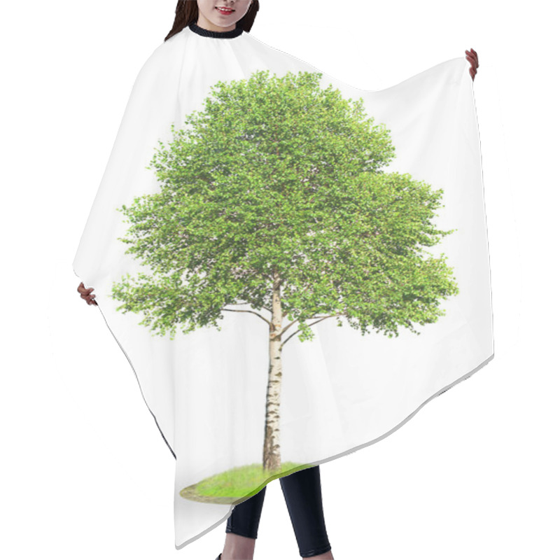 Personality  Birch Tree Isolated On White Hair Cutting Cape