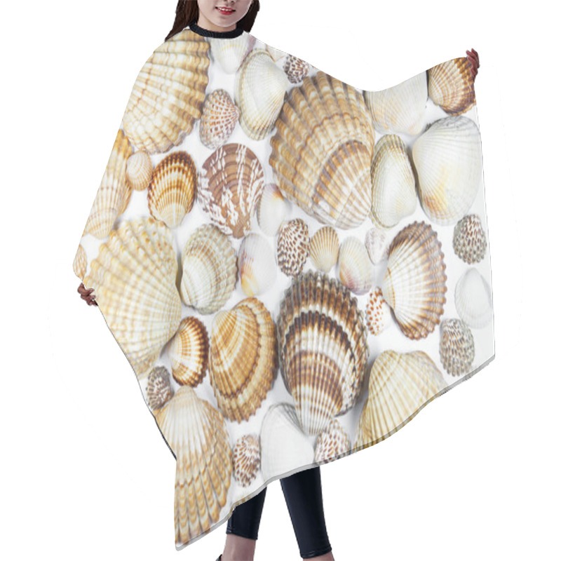 Personality  Collection Of Various Seashells On White Background Hair Cutting Cape