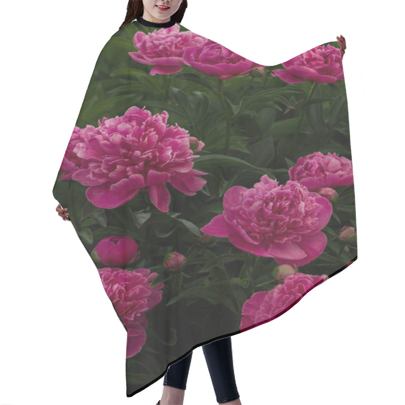 Personality  A Cluster Of Pink Peonies In Full Bloom, Displaying Their Lush Petals And Vibrant Beauty. A Captivating Representation Of Elegance And Natural Charm. Hair Cutting Cape