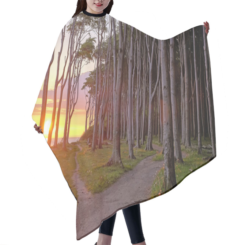 Personality  Sunrise At A Beech Forest Hair Cutting Cape