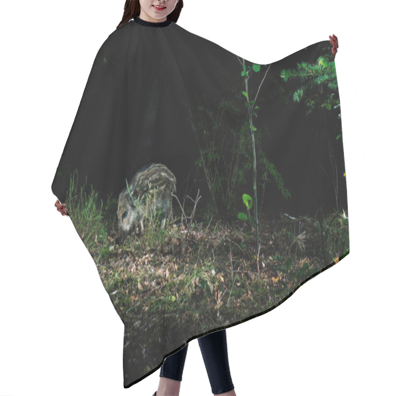 Personality  Wild Boar In Forest  Hair Cutting Cape