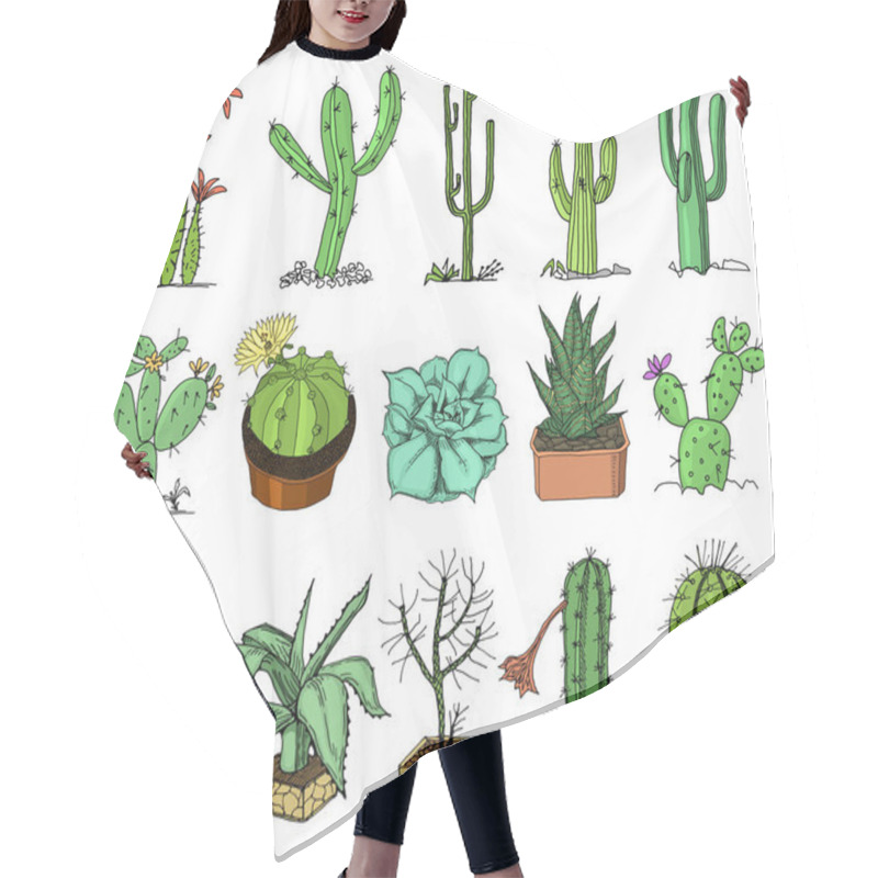 Personality  Home Cactus Plants With Prickles And Nature Elements In Pots And With Flowers. Exotic Or Tropical. Collection Of Various Succulents. Engraved In Ink Hand Drawn In Old Sketch And Vintage Style. Hair Cutting Cape