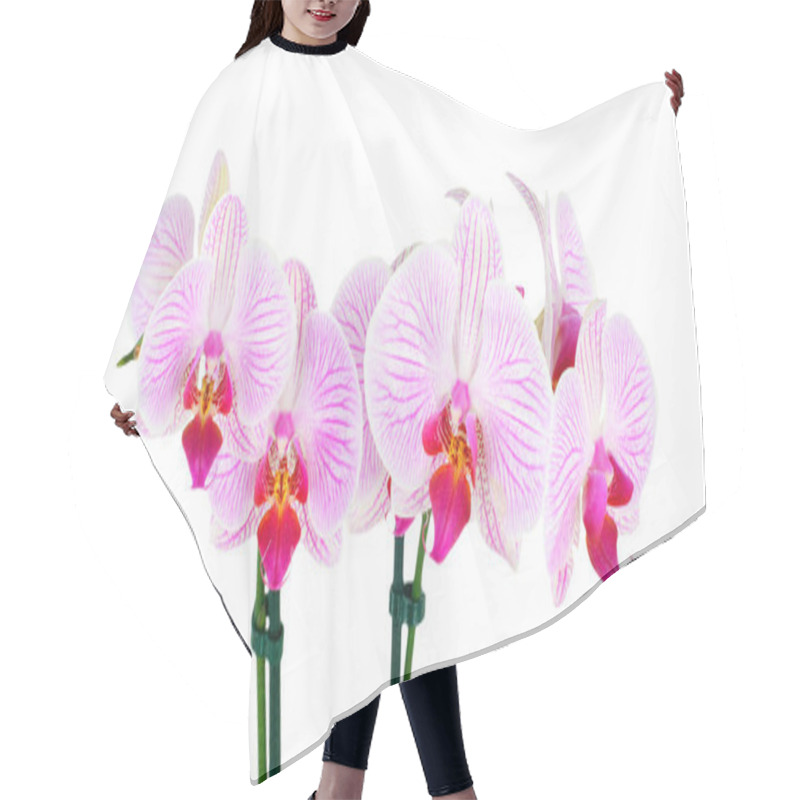 Personality  Orchid Flowers On White Background Hair Cutting Cape