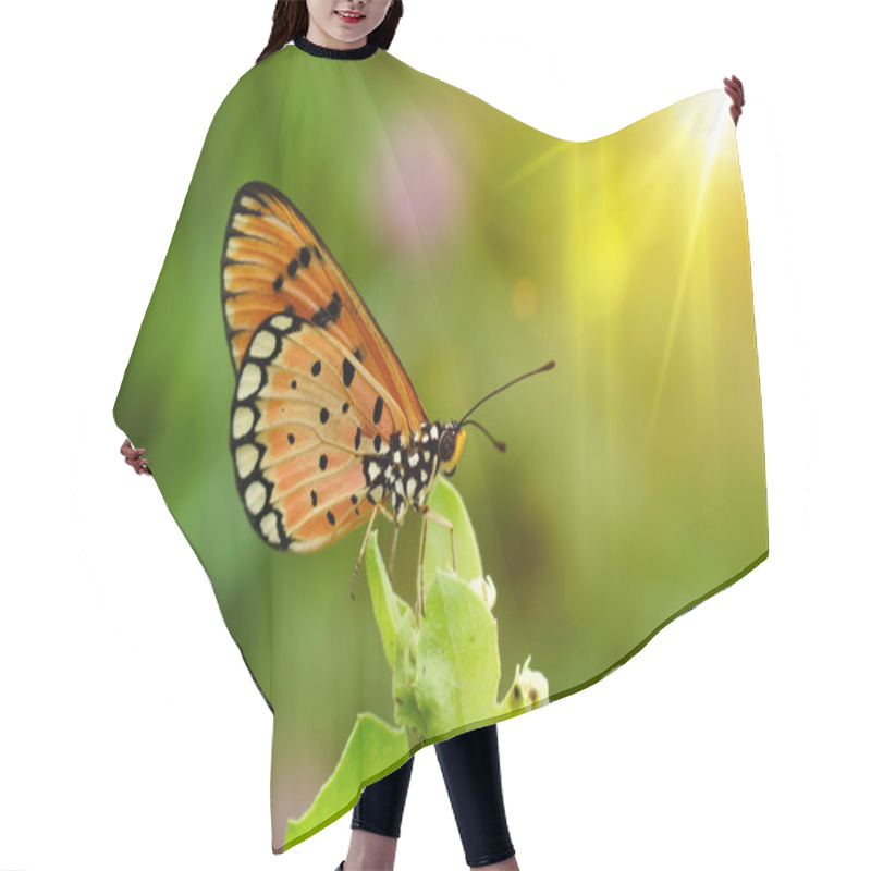 Personality  Closeup Butterfly  Hair Cutting Cape