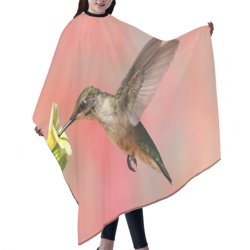 Personality  Ruby-throated Hummingbird In Flight Hair Cutting Cape