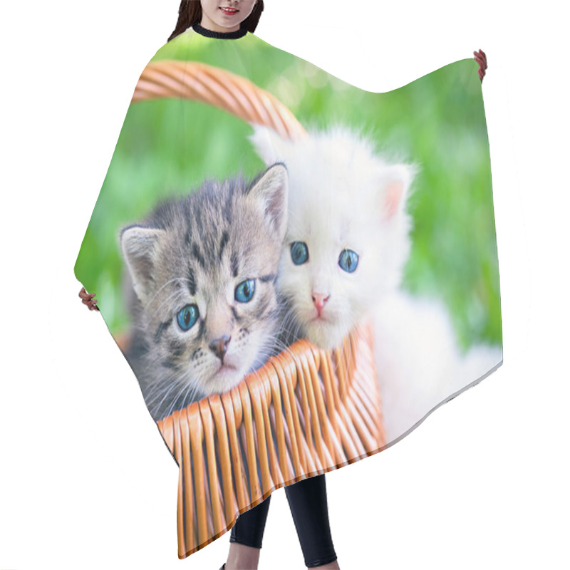 Personality  Little Kittens In  Basket Hair Cutting Cape