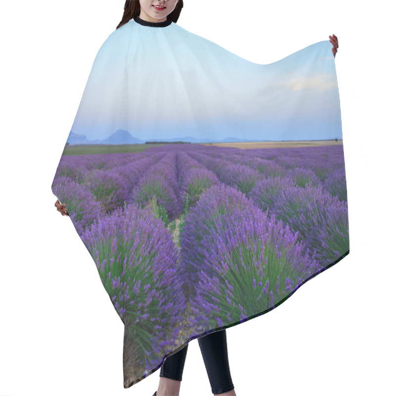 Personality  Lavender Field  Hair Cutting Cape