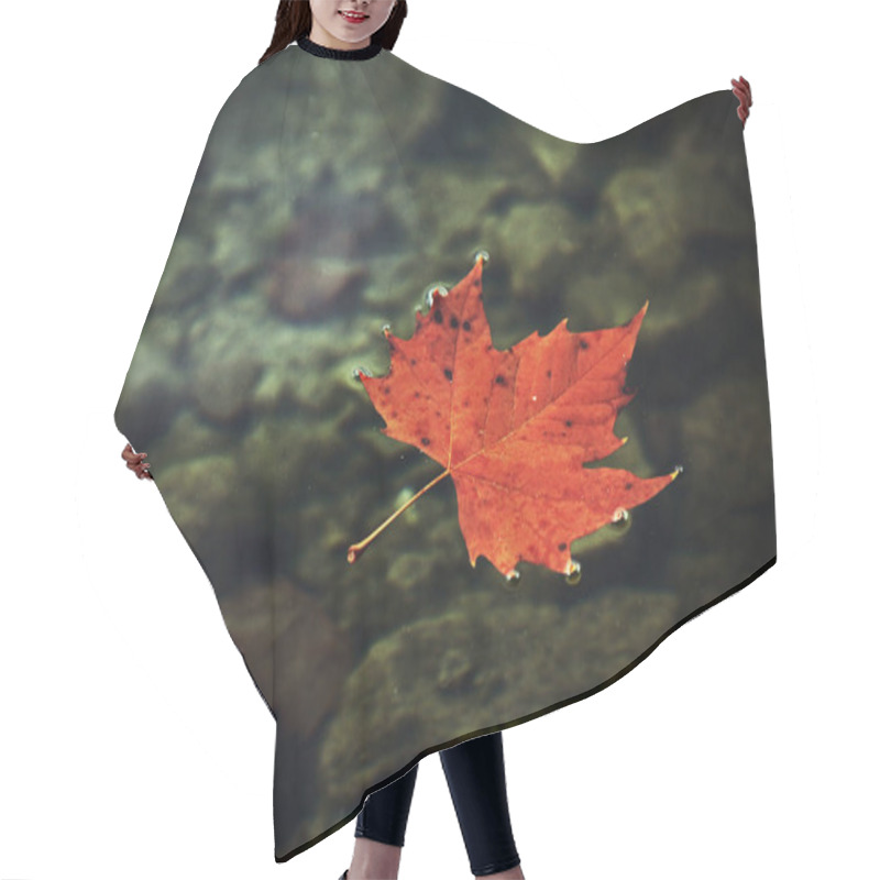 Personality  Autumn Leaf, Fall Season Foliage Hair Cutting Cape