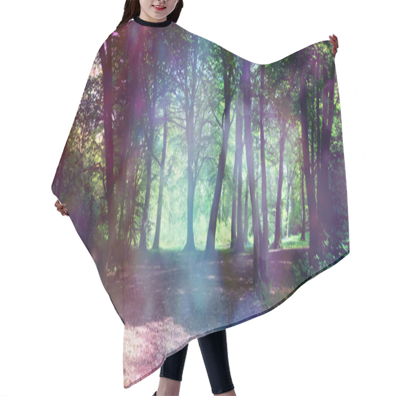 Personality  Magical Fairy Forest With Ethereal Light - Surreal Fantasy Woodland Copse With Ethereal Lighting On Trees And Undergrowth With Copy Space Hair Cutting Cape