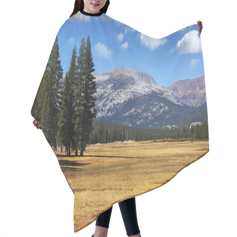 Personality  A Quiet Part Of Yosemite Park Hair Cutting Cape