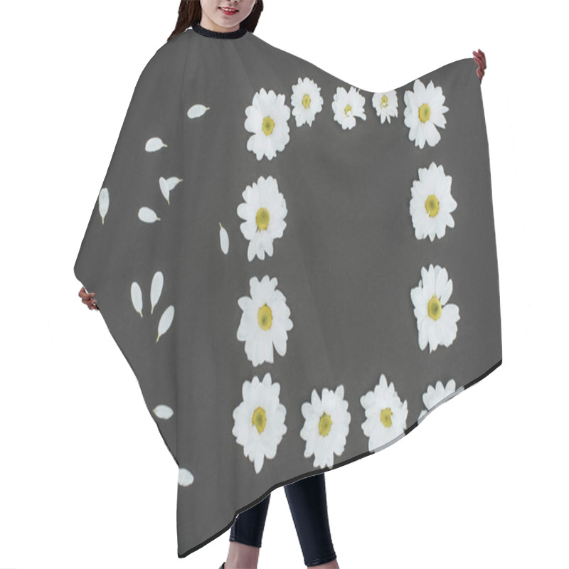 Personality  Top View Of Frame Of Daisies With Copy Space Over Black Background Hair Cutting Cape