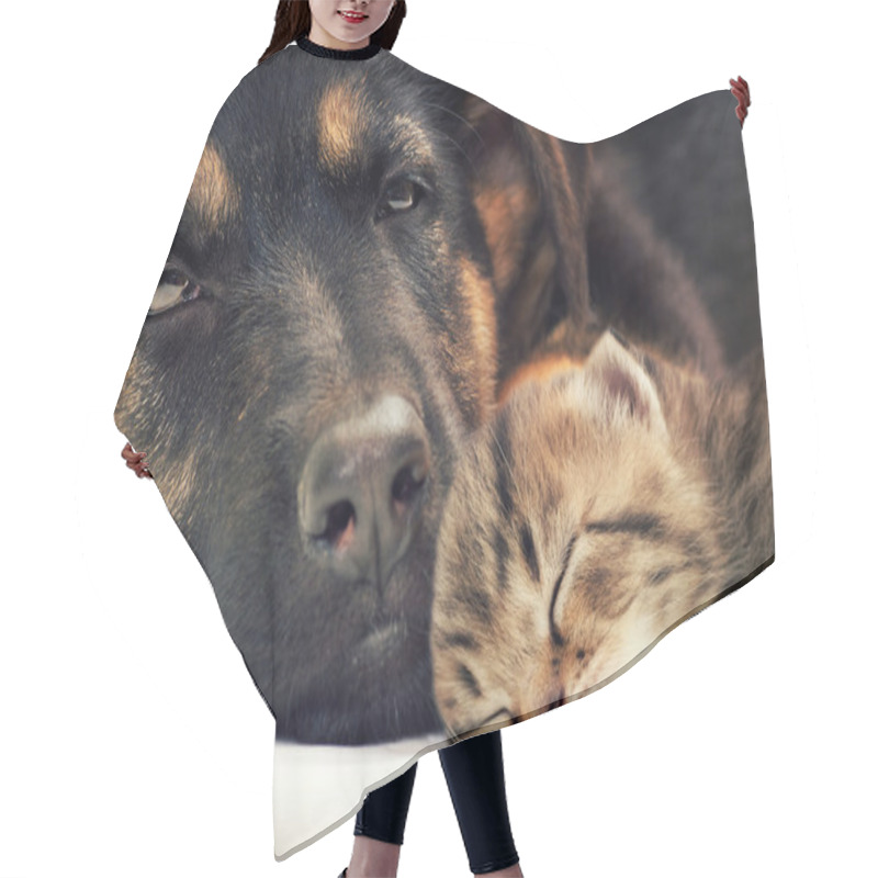 Personality  Puppy And Kitten Hair Cutting Cape