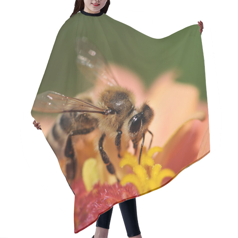 Personality  Honey Bee Hair Cutting Cape