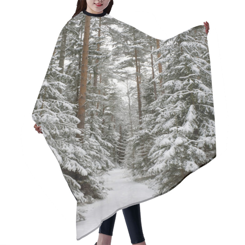 Personality  Winter Path Hair Cutting Cape