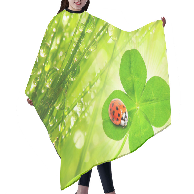 Personality  Dew, Clover And Ladybug Hair Cutting Cape