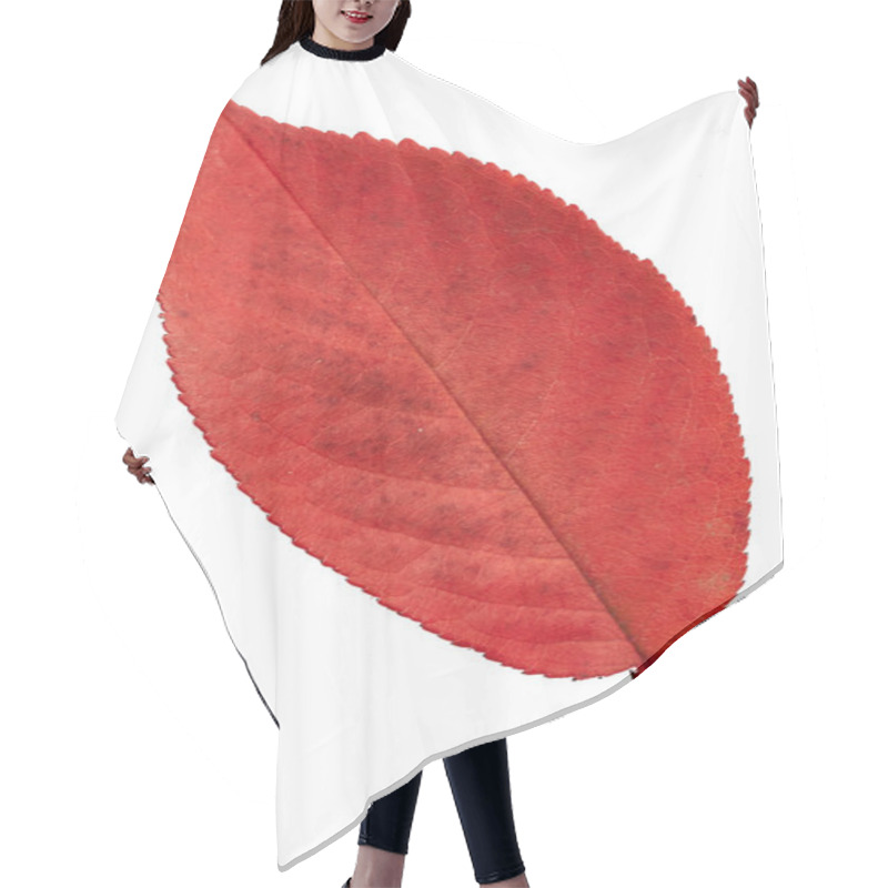 Personality  Red Autumn Leaf Hair Cutting Cape