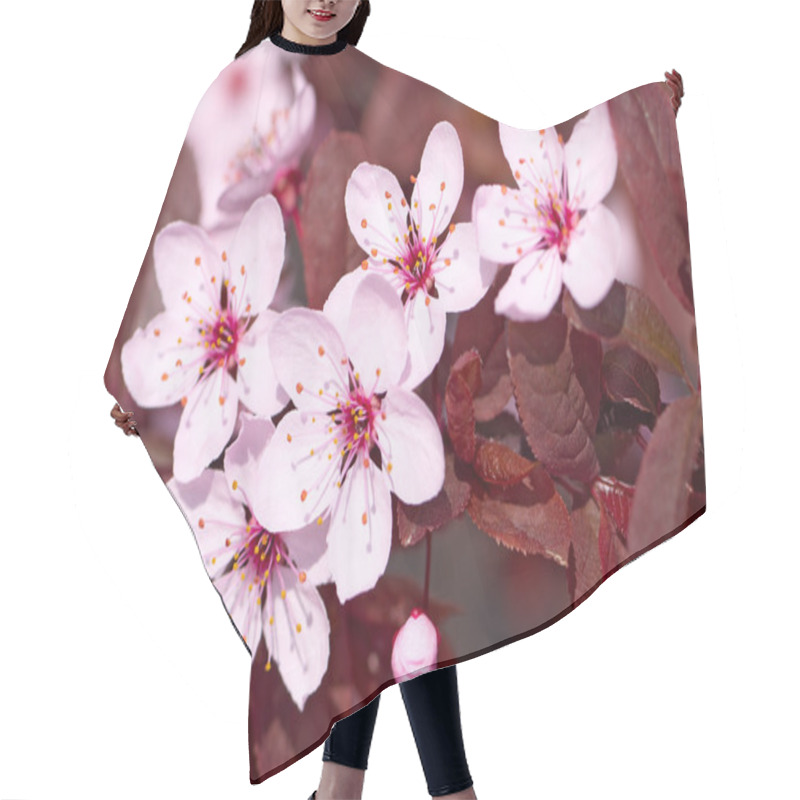 Personality  Pink Cherry Blossom Hair Cutting Cape