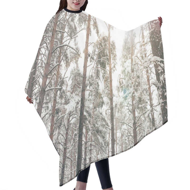 Personality  Scenic View Of Pine Trees Covered With Snow In Winter Forest Hair Cutting Cape