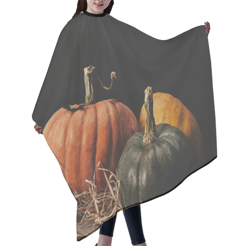 Personality  Three Ripe Pumpkins And Paper Bat On Table, Halloween Concept Hair Cutting Cape