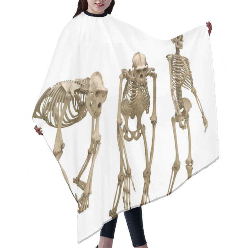 Personality  Set Of Three Skeletons Hair Cutting Cape