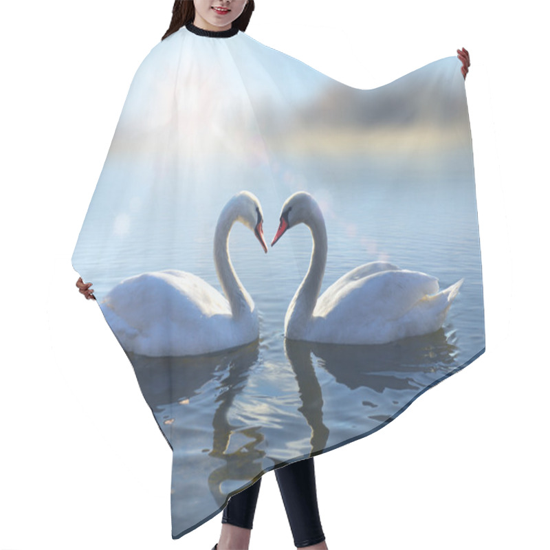 Personality  Swans On Blue Lake Water In Sunny Day Hair Cutting Cape