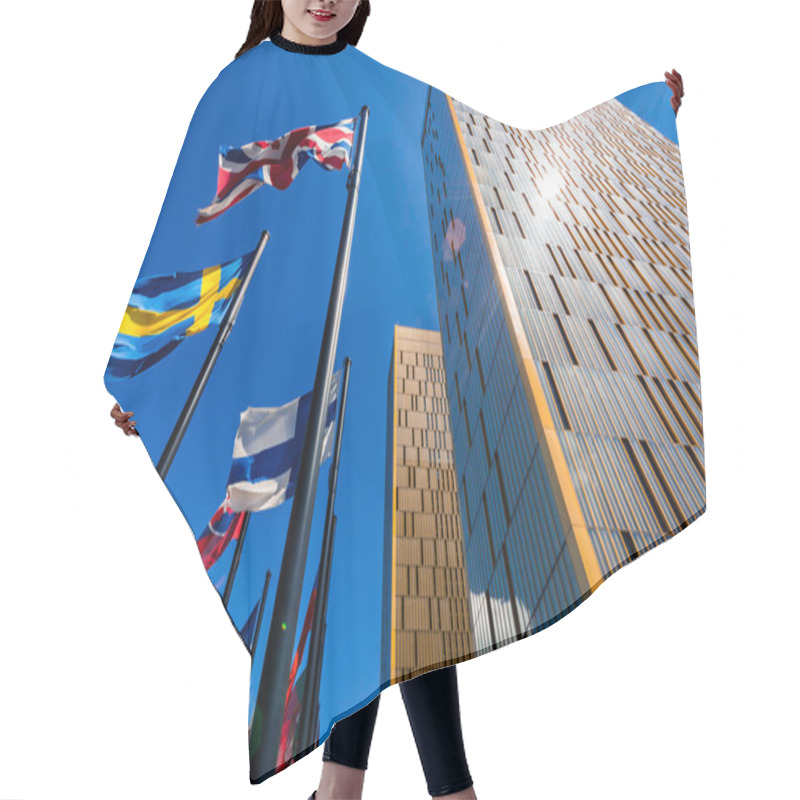 Personality  European Court Of Justice Hair Cutting Cape