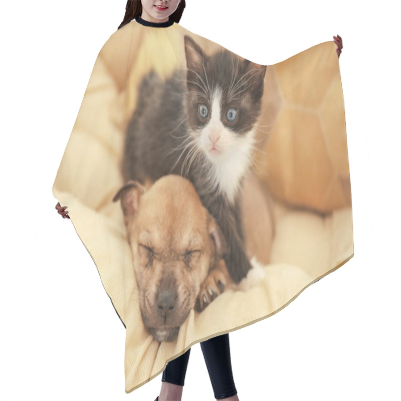 Personality  Cute Little Kitten And Puppy Hair Cutting Cape