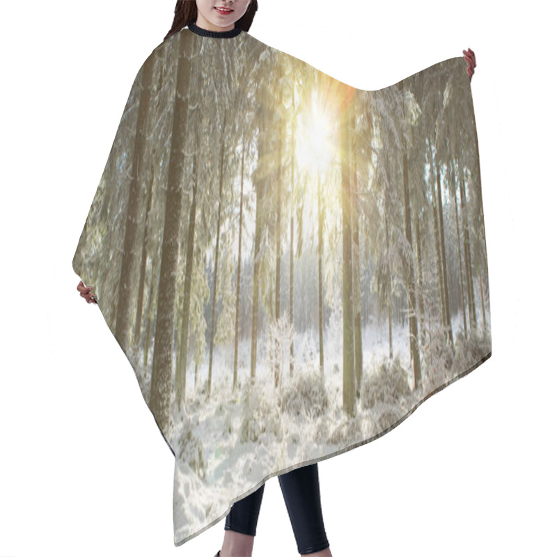 Personality  Sunset In Winter Forest. Winter Nature Background. Hair Cutting Cape