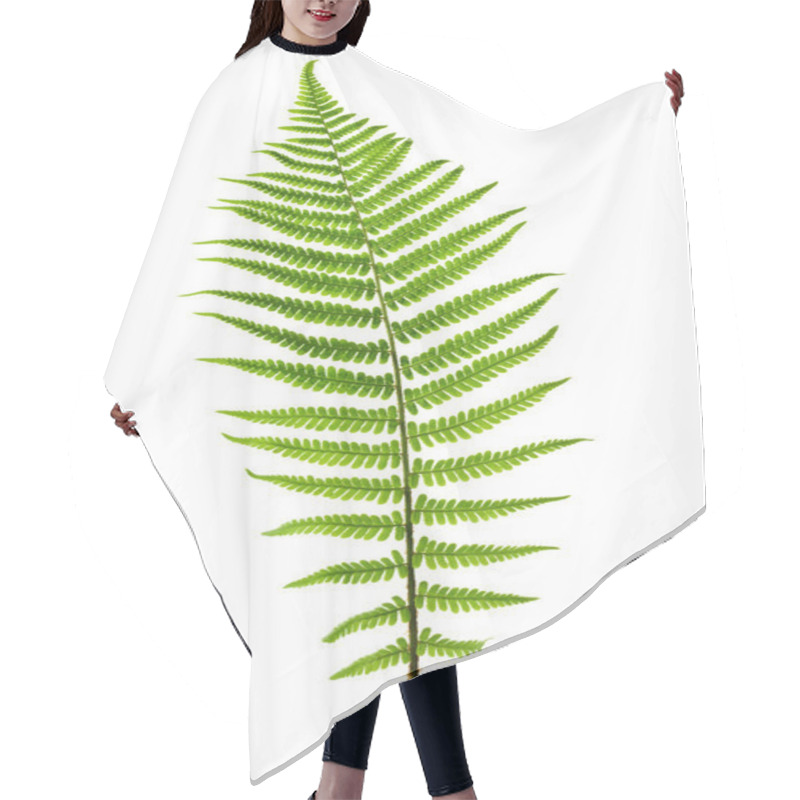 Personality  Fern Leaf Hair Cutting Cape