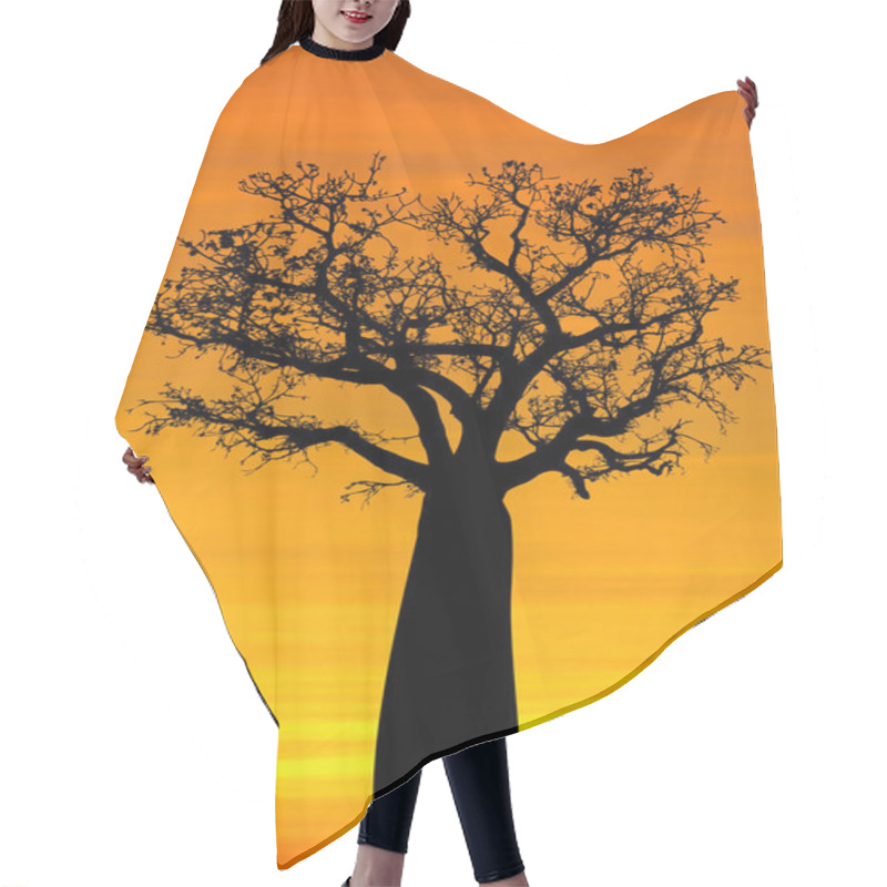 Personality  Boab Tree Black Silhouette With A Sunset Background Hair Cutting Cape