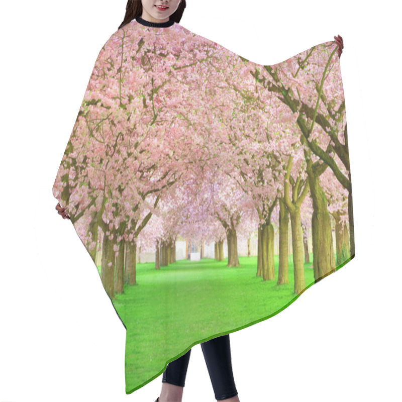 Personality  Avenue Of Spring Pink Blossom Trees Hair Cutting Cape